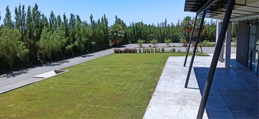 vista frente 02